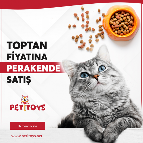 İnstagram Post Tasarımı İnstagram Post Tasarımı