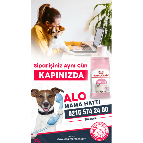 İnstagram Story Tasarımı İnstagram Story Tasarımı