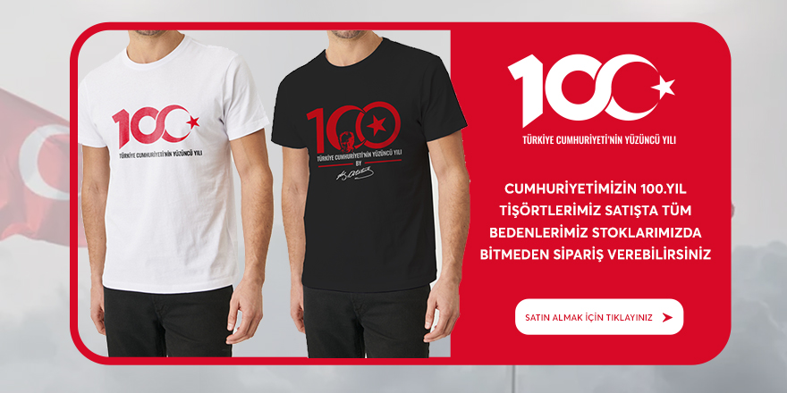 100.YIL